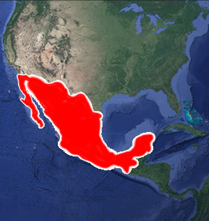 mexico-map